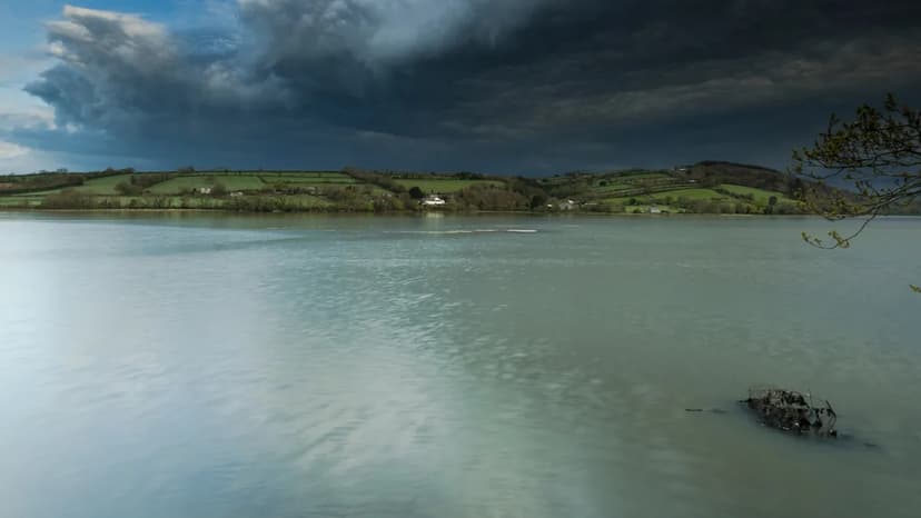 Microscopic Tire Particles Threaten Vital Marine Species and Ecosystems