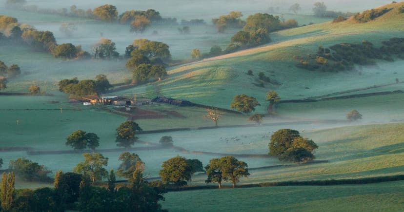Mendip Hills: Somerset's Best-Kept Secret for Autumn Adventures