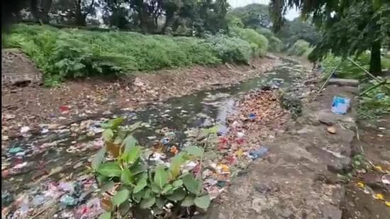 Pune Canal Plagued by Pollution and Neglect, Raising Health Concerns