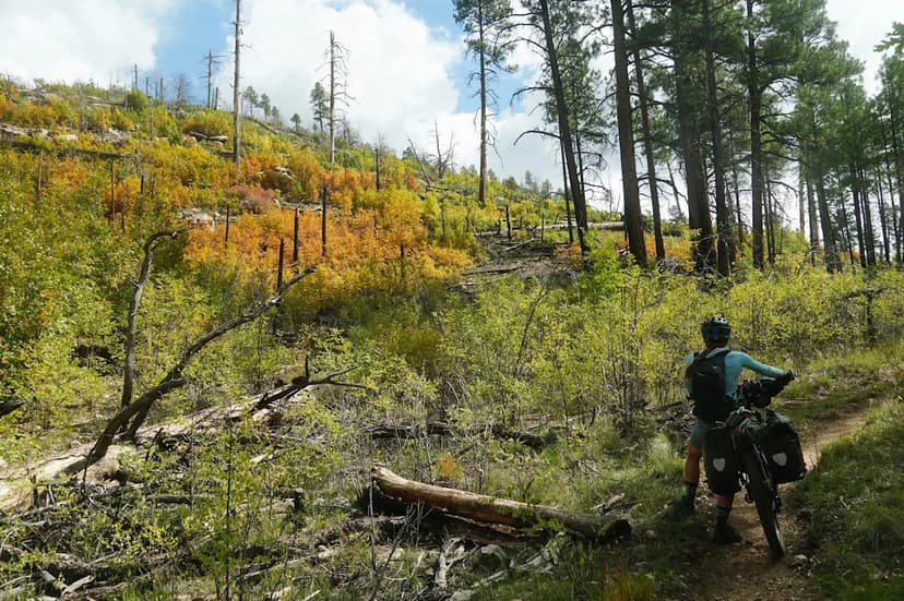 Intrepid Reporter Bikes 850 Miles Across Arizona to Uncover Climate Change Impacts
