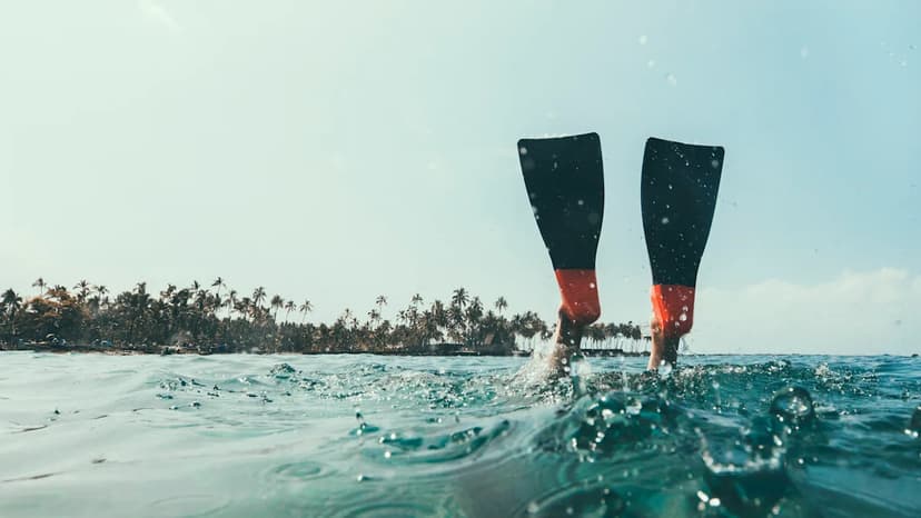 Explore the U.S.'s Top 10 Snorkeling Destinations