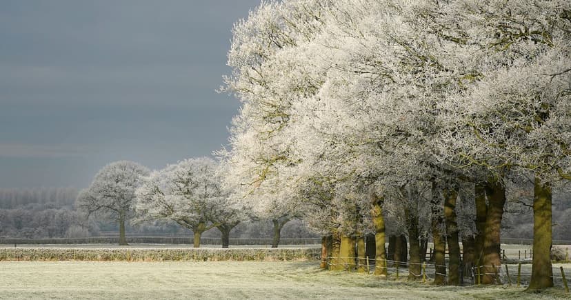 Brits Brace for Bone-Chilling Cold Snap This October