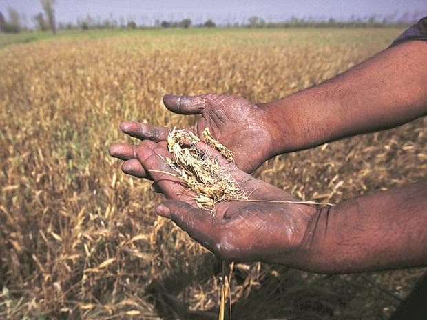 Rajasthan Rabi Sowing Trails Targets as Monsoon Disrupts Planting