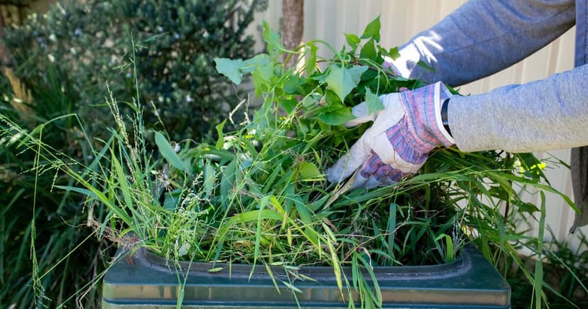 Brits Warned: Illegal Garden Waste Dumping Harms Local Ecosystems