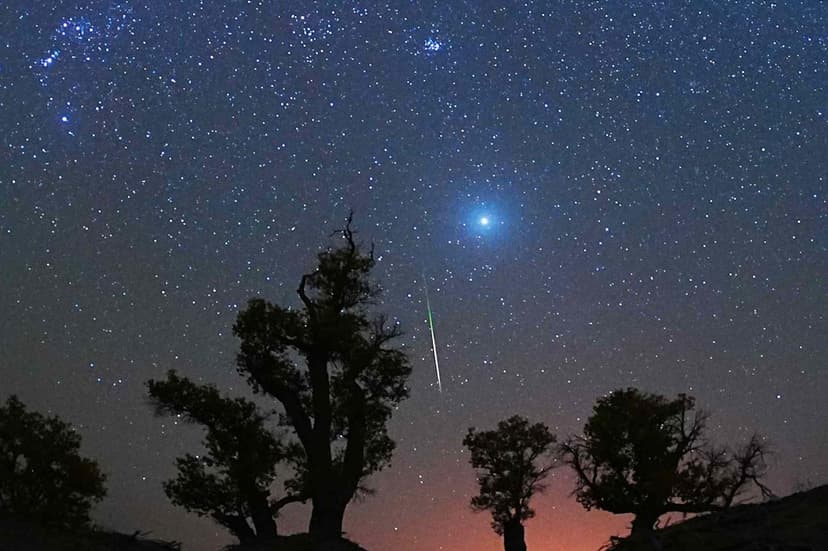 Orionid Meteor Shower Dazzles Skies Across the U.S. in Late October 2025