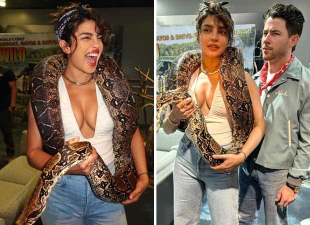 Priyanka Chopra Jonas Fearlessly Embraces Snakes, Fans Stunned