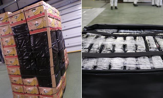 £256M Cocaine Disguised as Bananas Busted
