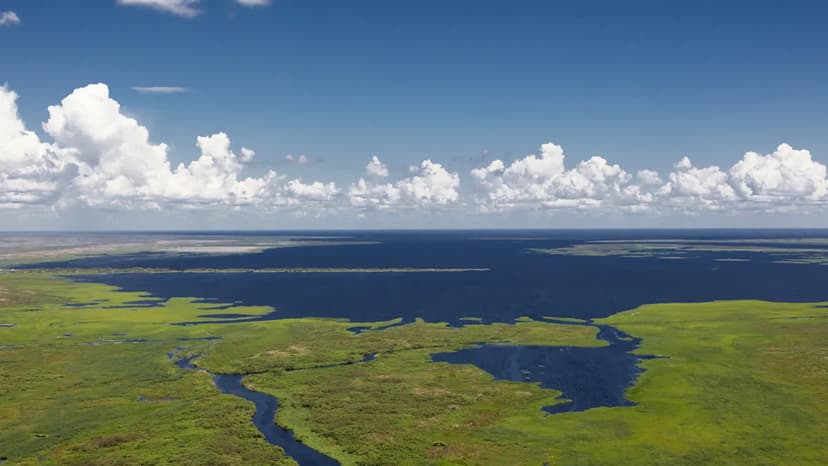 Toxic Algae Blooms Plague Florida's Iconic Lake Okeechobee