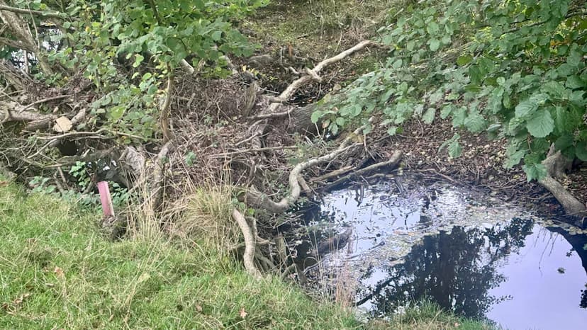 Gloucestershire Communities Fortify Flood Defenses as Autumn Rains Loom