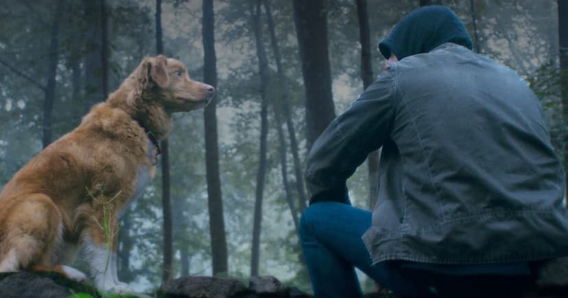 'Good Boy' Indie Horror Surprises with Canine Lead's Breakout Success