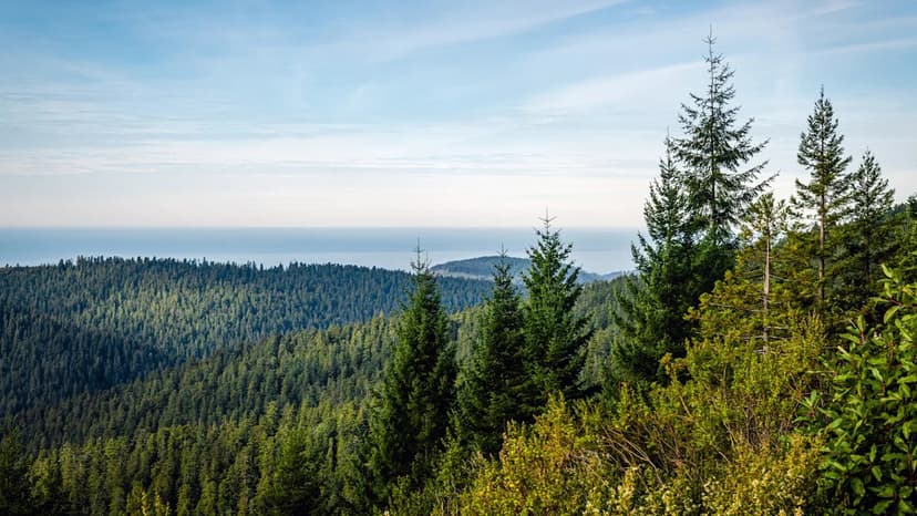 Orick, California: Tiny Town, Towering Redwoods