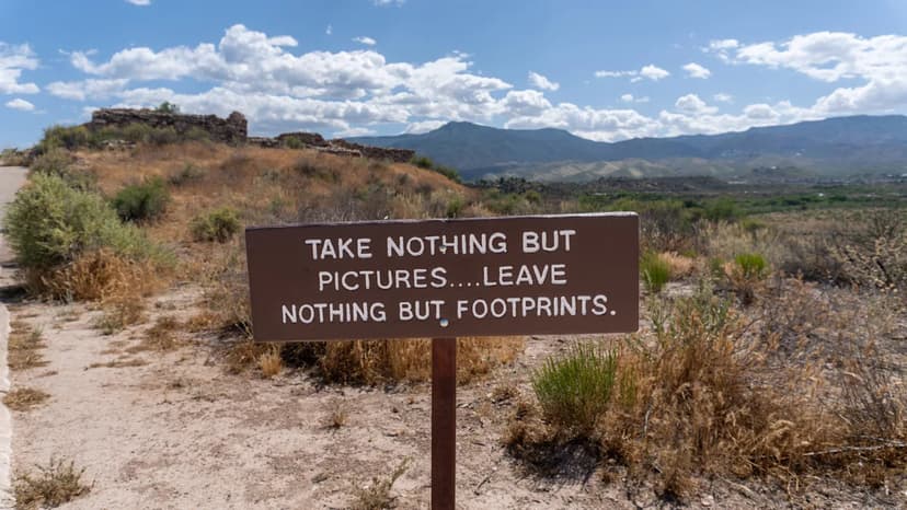 Thieves Plunder National Parks: Artifacts, Cacti, and Redwoods Stolen Across the U.S.