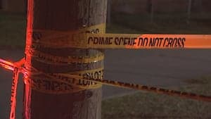 Tragic Accident: 4-Year-Old Struck by SUV in Driveway