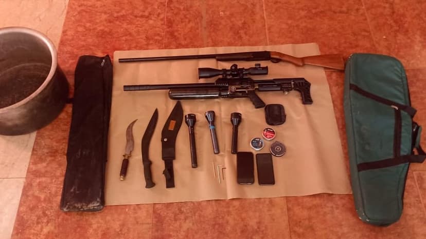 Poachers Busted: Affluent Hunters Caught Using Firearms and Hounds to Kill Wildlife