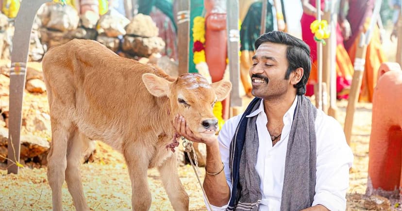 Dhanush's Idli Kadai Surpasses 2025's Top Tamil Film, But Faces Massive Losses