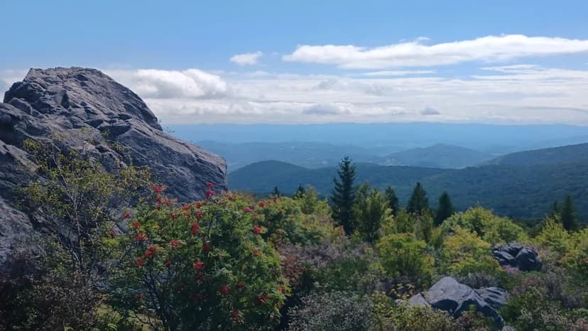 Conquer Virginia's Highest Peak: An Adventurer's Guide to Mount Rogers