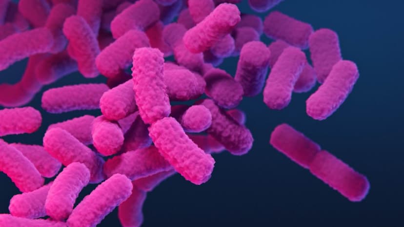 Kerala Researchers Identify Rare Scrub Typhus Case in Dubai