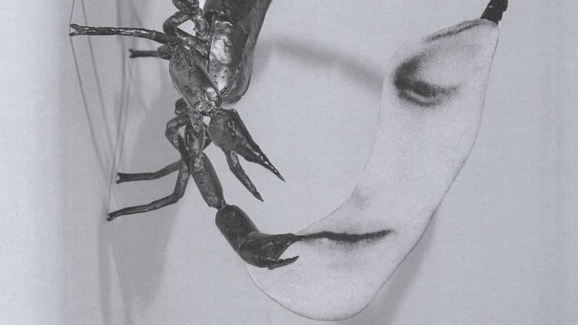 Tortoise's Experimental Comeback Album Defies Genre Boundaries