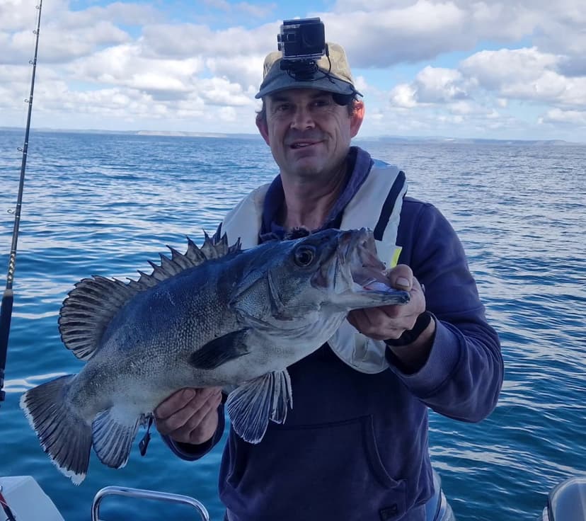 Fisherman Hooks Elusive 100-Year-Old 'Shark Eater' off UK Coast