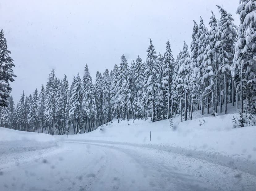 Mount Baker Braces for Potential 7 Feet of Snow from Atmospheric River
