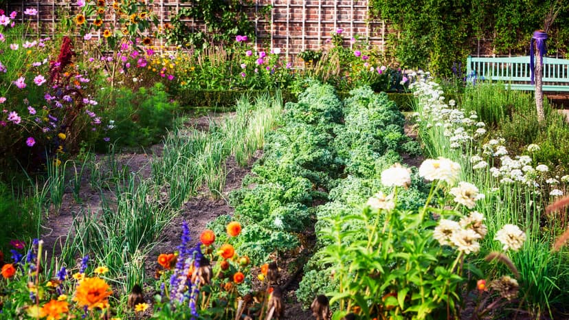 Recycling Coffee Grounds: The Secret to Thriving Gardens in Florida