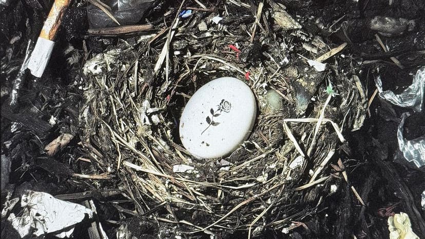 Shlohmo's Sonic Shift: From Bubblegum to Bludgeoning Beats