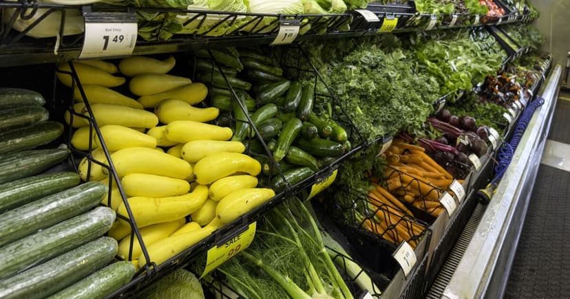 Edible Cucumber Wrap Tackles Plastic Waste in Sweden