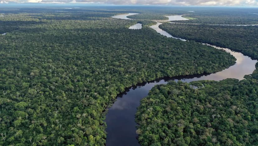 Toxic Mercury Poisoning Threatens Extinction of Amazon's Pink Dolphins
