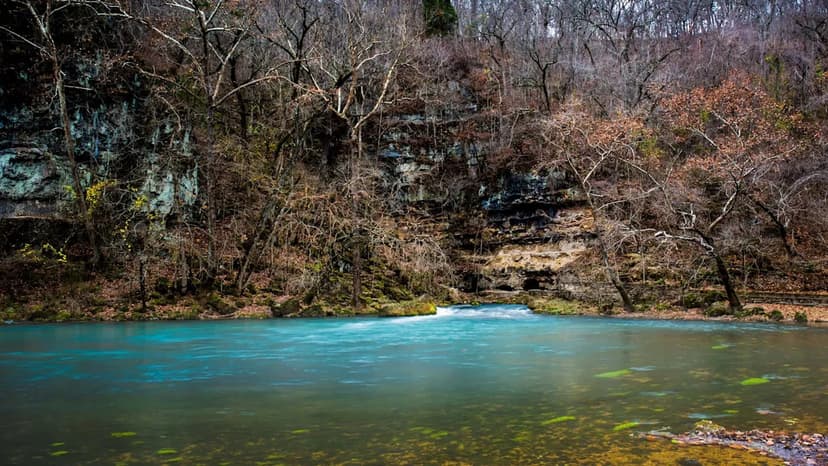 Centuries-Old Fish Species Rebounds from Brink of Extinction in Missouri