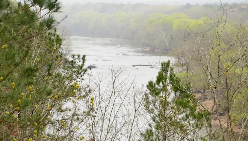 Dredging Drives Rapid Transformation of North Carolina's Coastal Forests