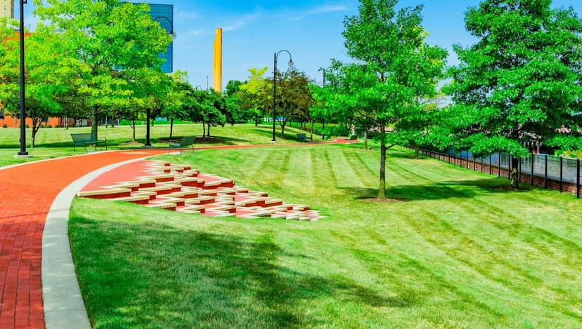 Toledo Launches $6.1M Tree-Planting Program to Revive Urban Canopy