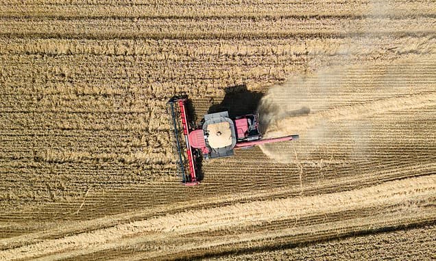 UK Farmers Struggle with Second Worst Harvest on Record Amid Climate Chaos