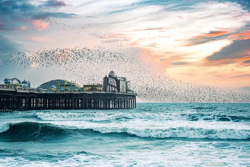 Boutique Hotels Embrace Birdwatching Boom Across the UK
