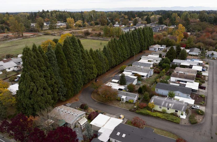 Tacoma Residents Form Co-op to Save 100-Foot Sequoia Forest