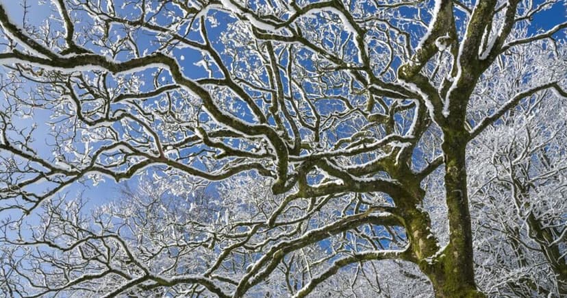 Wintry Weather to Grip 34 UK Counties on November 18