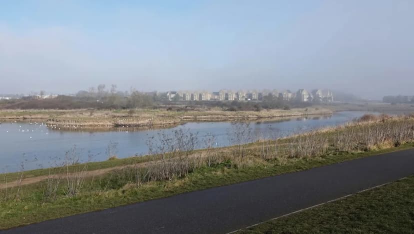 Rare Birds Flock to Essex Nature Reserve, Delighting Visitors