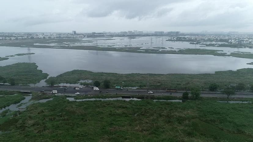 Tamil Nadu Denies Illegal Approvals for Pallikaranai Marsh Development