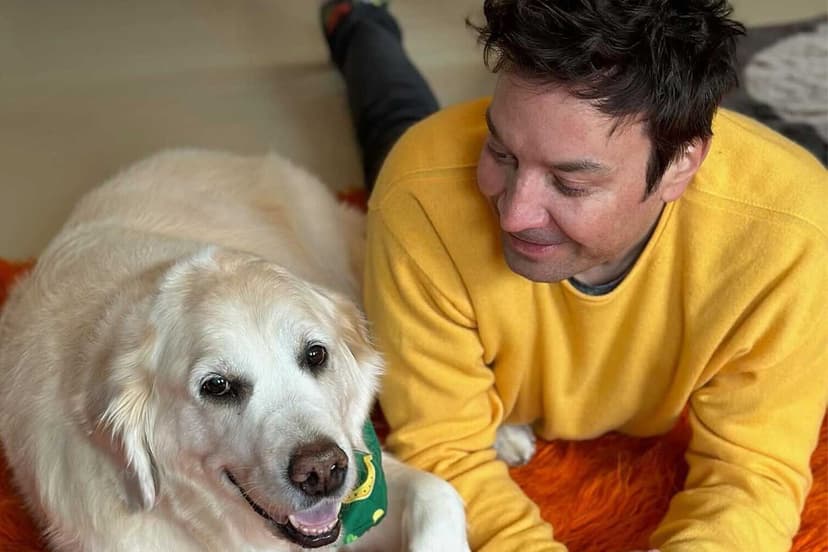 Beloved Family Pet Gary the Golden Retriever Passes Away at 13