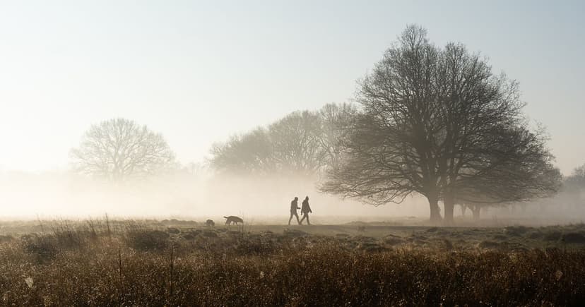 Powerful Storm System to Bring Severe Winds and Unsettled Weather to UK