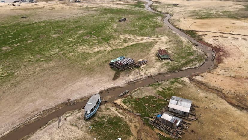 Amazon Lakes Reach Scorching Temperatures, Killing Endangered Dolphins