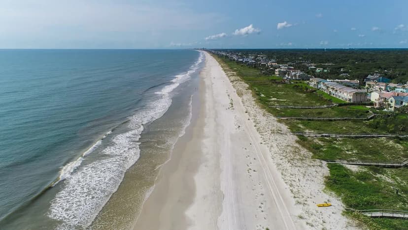 Invasive Agama Lizards Spread Across Florida, Raising Disease Concerns