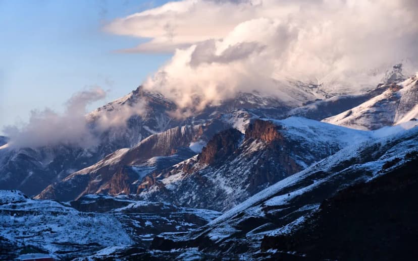 Alborz Mountains Wildlife Adapt Migration Patterns to Climate Change