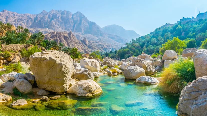 Rare Footage Captures Arabian Leopards Hunting in Oman's Mountains