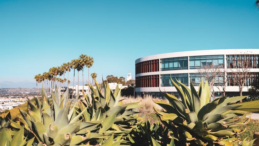 LMU Sony Social Impact Lab Backs 5 Filmmakers for Social Change