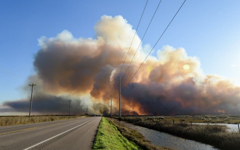 Extreme Weather Collides Across the South: Wildfires and Freezing Temperatures