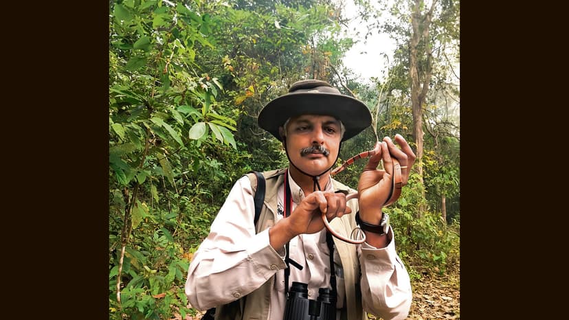 IUCN Chief Menon Drives Diversity Shift, Aims to Expand Red List