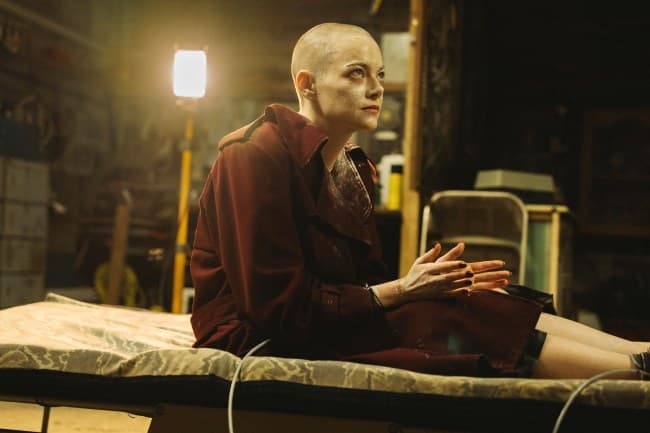 Conspiracy-Fueled Beekeeper Kidnaps Pharma CEO, Believes She's an Alien
