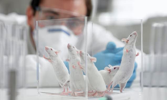 UK Pledges to End Animal Testing by 2030 with Cutting-Edge Alternatives