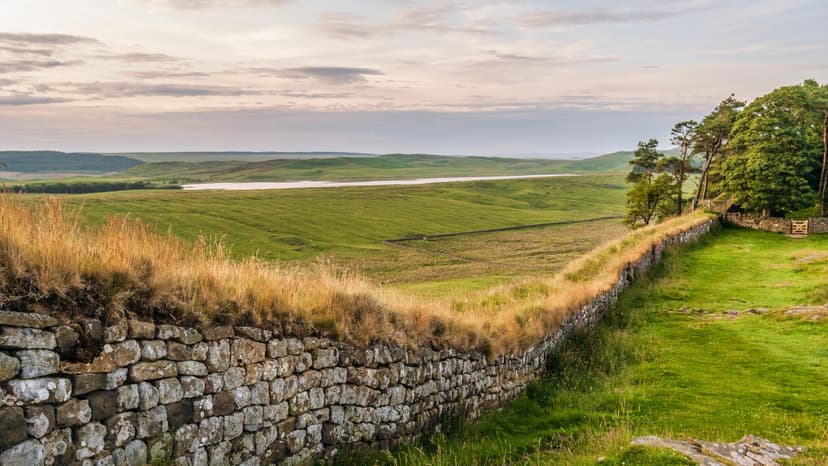 Northumberland's Sycamore Gap Tree: A Tragic Tale of Vandalism and Resilience
