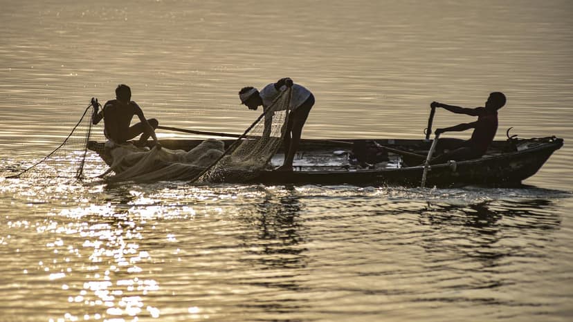 Over 50% of Uttar Pradesh's Polluting Industries Violate Environmental Norms